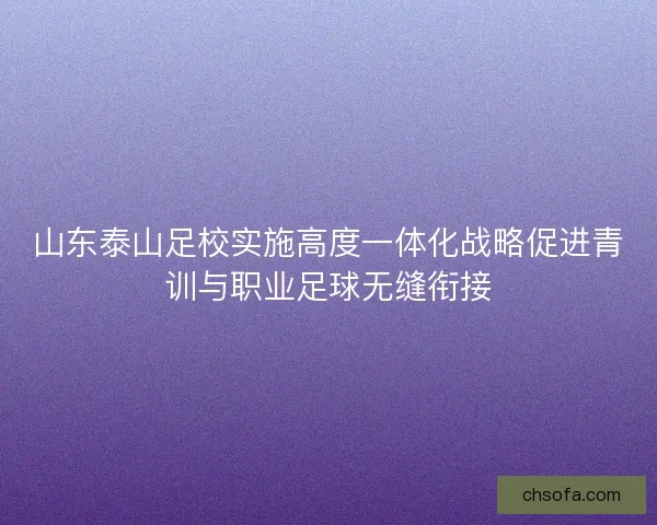 山东泰山足校实施高度一体化战略促进青训与职业足球无缝衔接